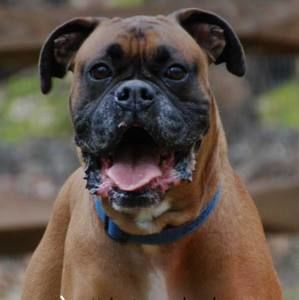 Meet your Posher, Emmitt